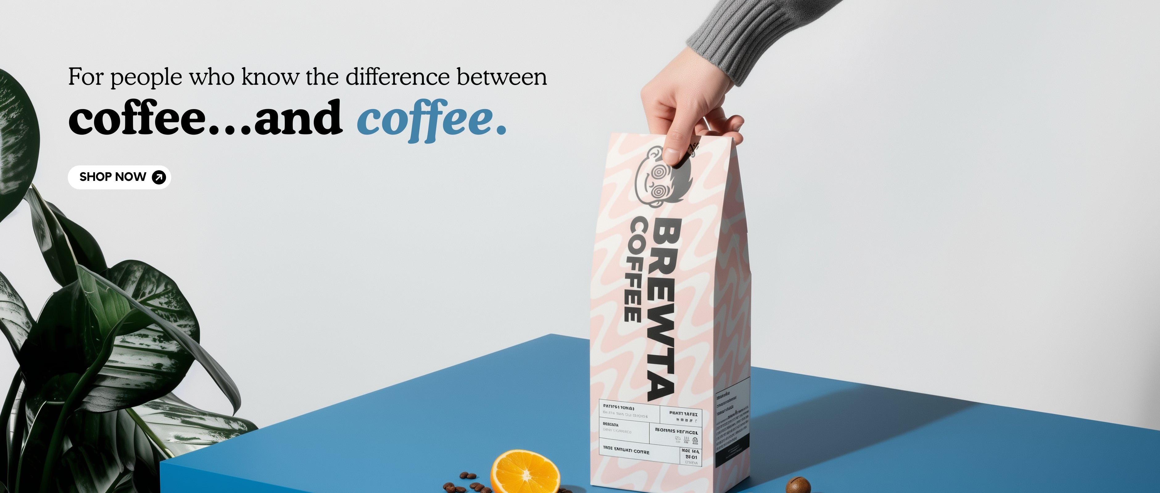 slider image slider_item_VxVCzm